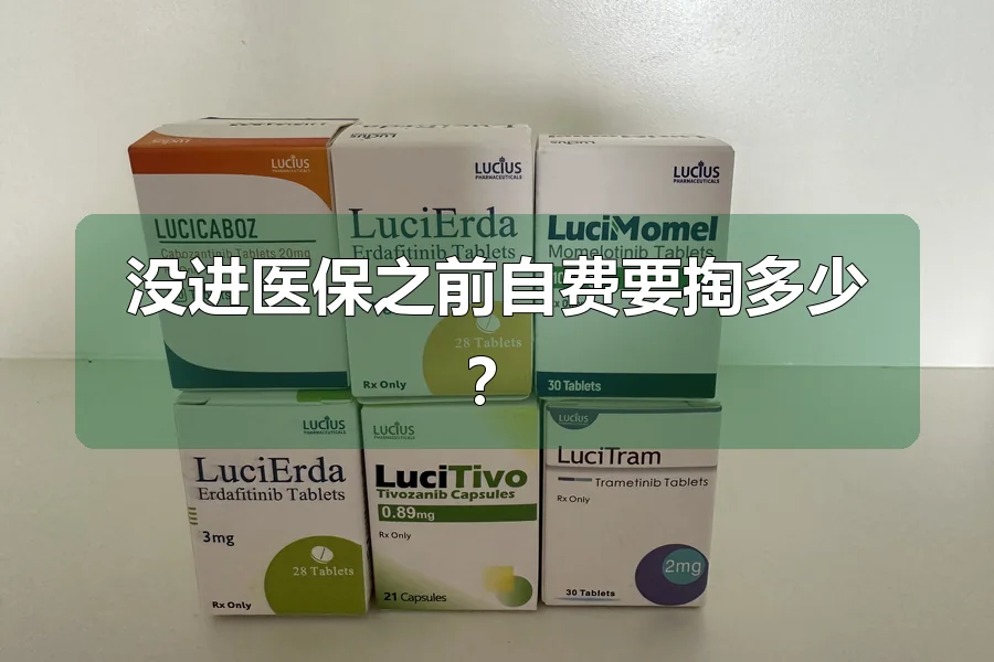 没进医保之前自费要掏多少？